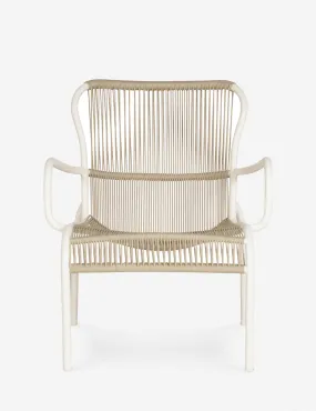 Alsop Indoor / Outdoor Accent Chair