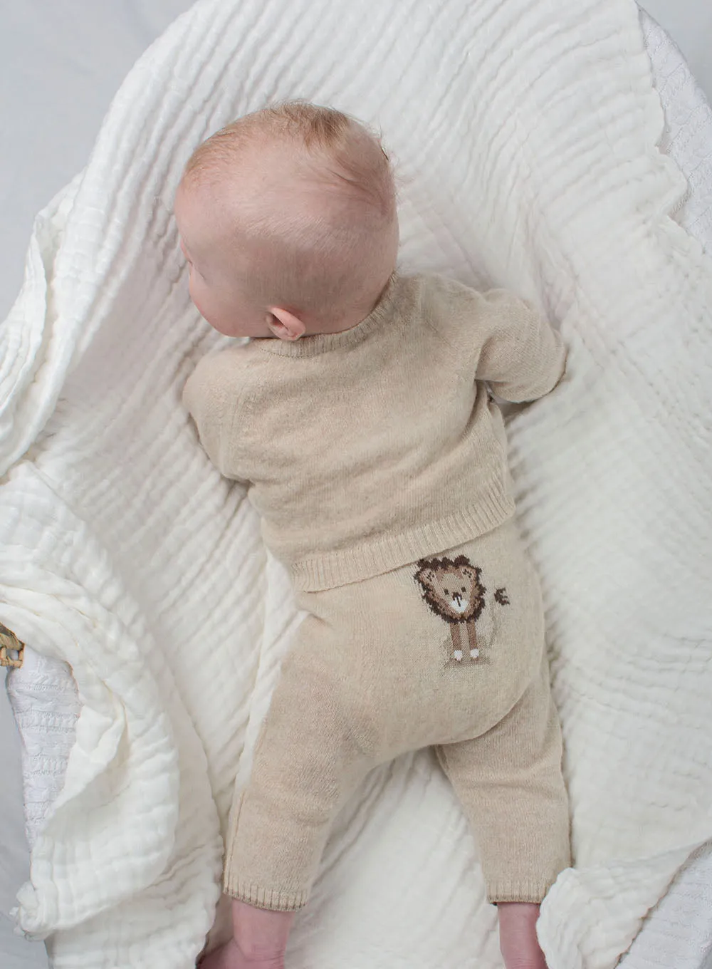 Baby Augustus Lion Leggings