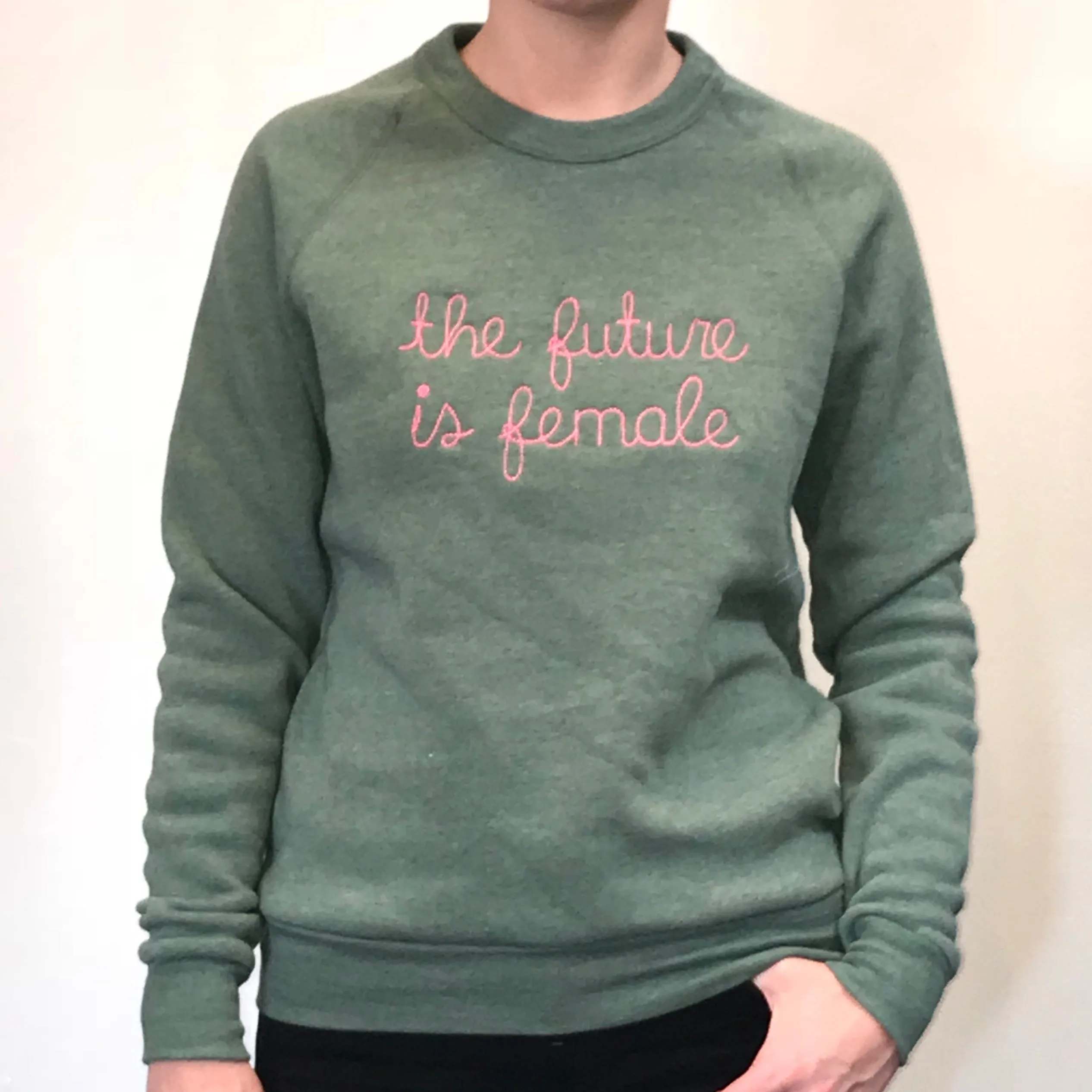 Raglan sleeve pullover sweatshirts custom embroidered with roevember, the future is female, 1973, we say gay or anything you feel like saying across your chest!